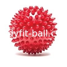 Relieve Muscle Tension and Pain with Physiotherapy Trigger Point Massage Ball